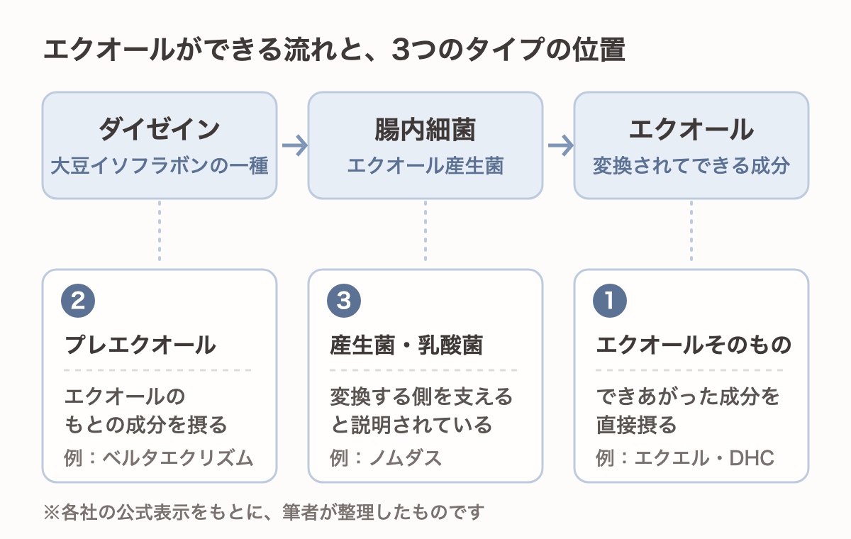 エクオールができる流れと、3つのタイプの位置を示した図。ダイゼイン(大豆イソフラボンの一種)を、腸内細菌(エクオール産生菌)が変換してエクオールができる。①エクオールそのものは、できあがった成分を直接摂るタイプ。②プレエクオールは、エクオールのもとの成分を摂るタイプ。③産生菌・乳酸菌は、変換する側を支えると説明されているタイプ。各社の公式表示をもとに筆者が整理した
